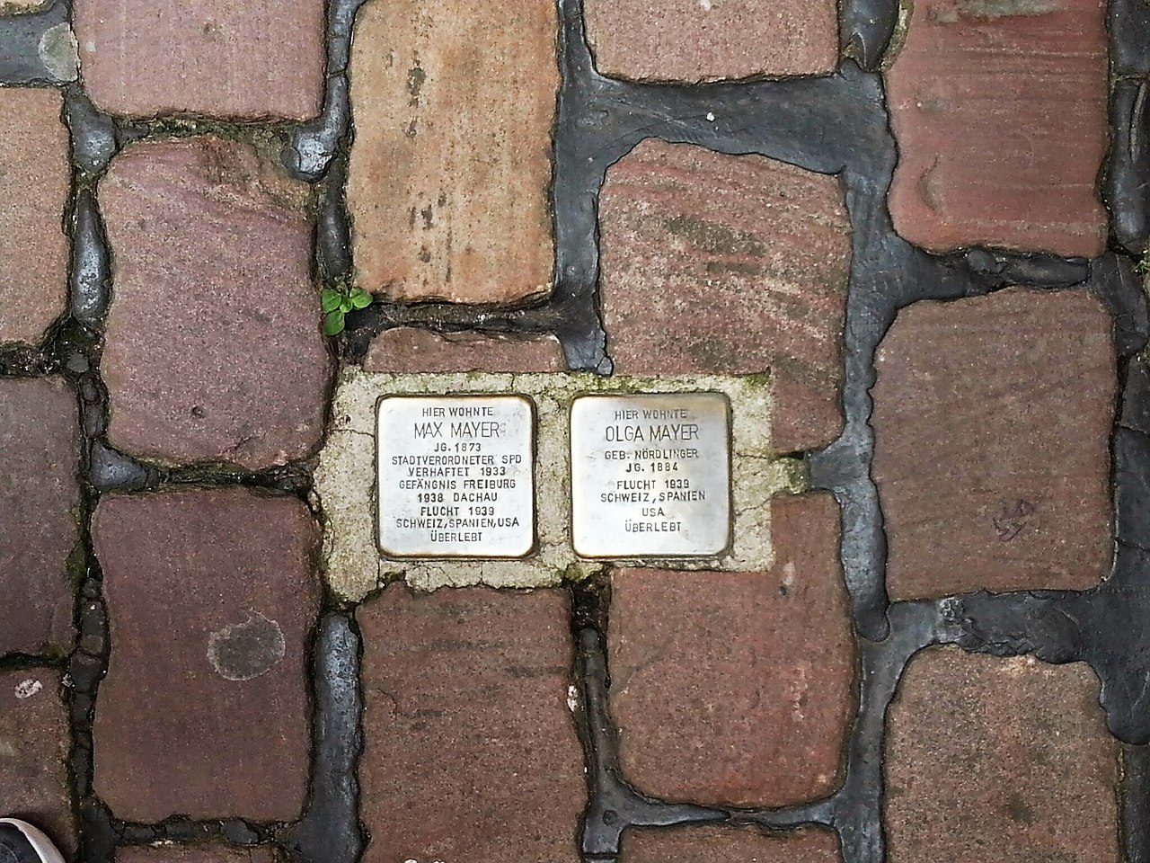 1280px-Freiburg,_Germany_Stolperstein_for_Max_and_Olga_Mayer,_June_2013