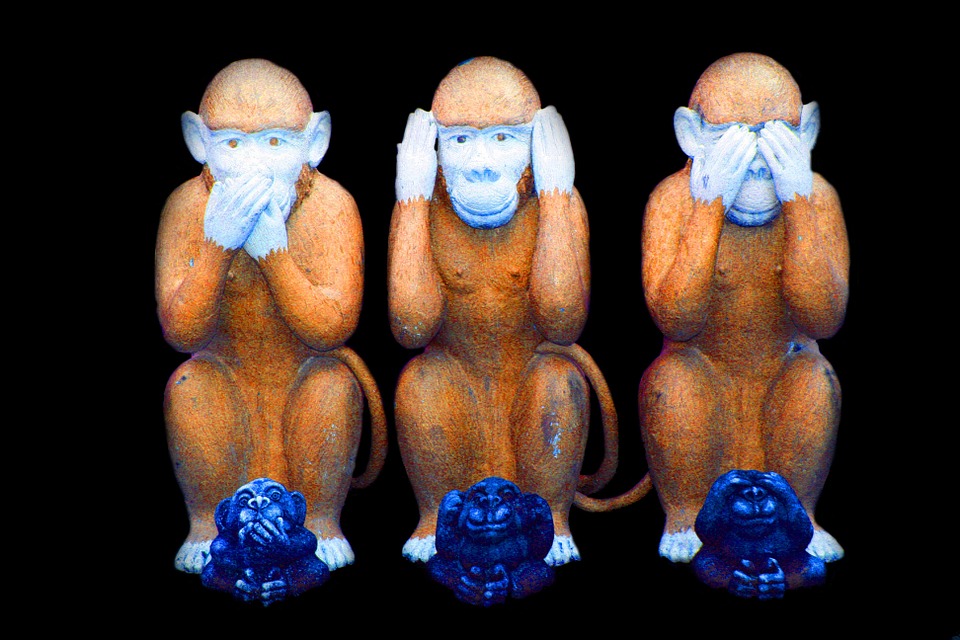 monkey-557586_960_720