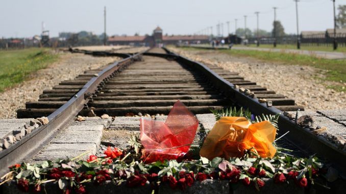 auschwitz-birkenau-540526_960_720