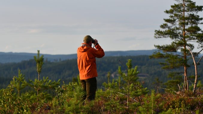 nature-3261062_1920