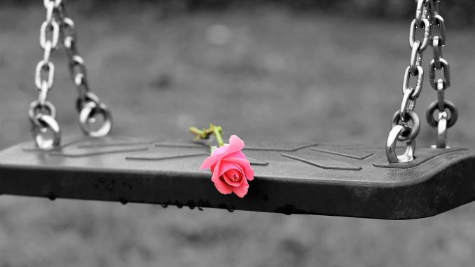 pink-rose-on-empty-swing-3656894_1920
