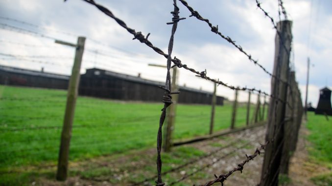 fence-444416_1920