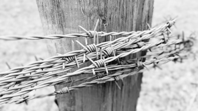 barbed-wire-4041811_1920